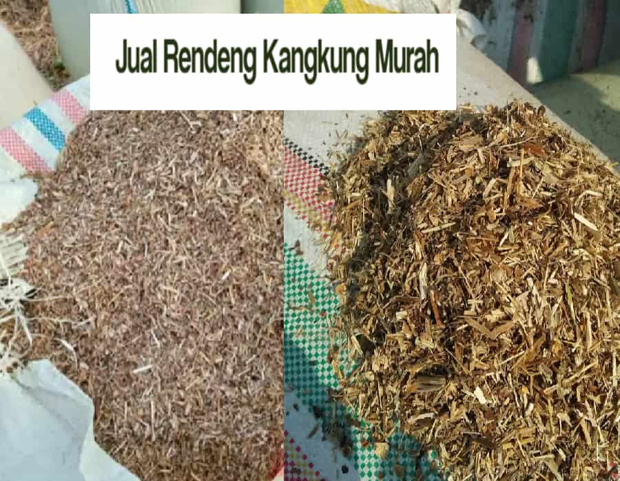 Jual Pakan Ternak Rendeng Kangkung Blitar Murah