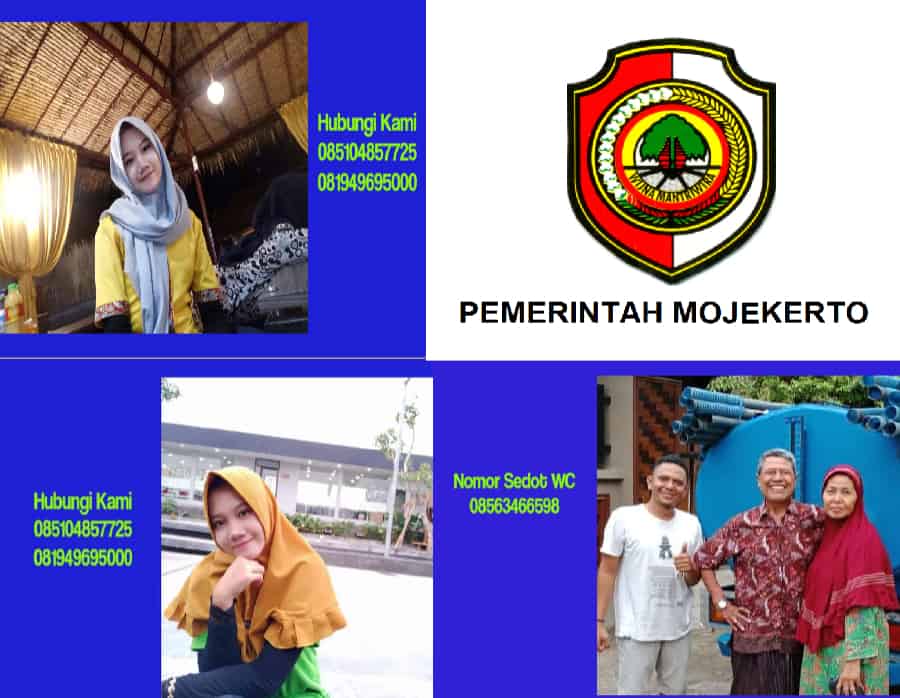 Sedot WC Harga Murah
