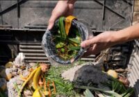 daur-ulang-sampah-organik