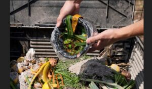 daur-ulang-sampah-organik daur-ulang-sampah-organik