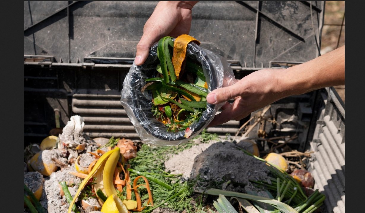 daur-ulang-sampah-organik