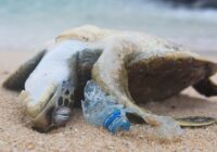 pengelolaan-sampah-plastik