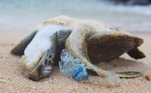 pengelolaan-sampah-plastik pengelolaan-sampah-plastik