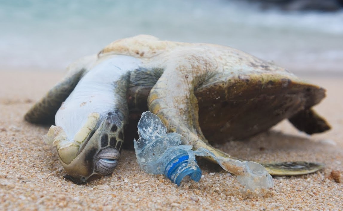 pengelolaan-sampah-plastik