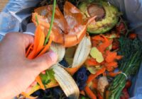 manfaat-pengelolaan-sampah-domestik
