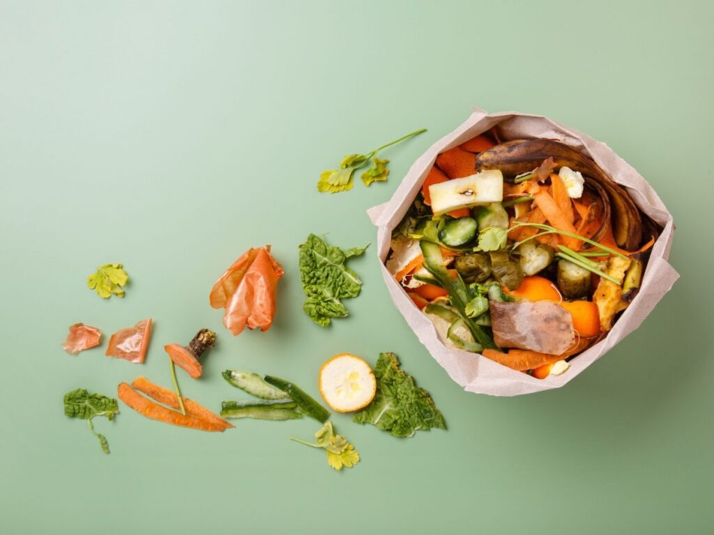 contoh sampah organik